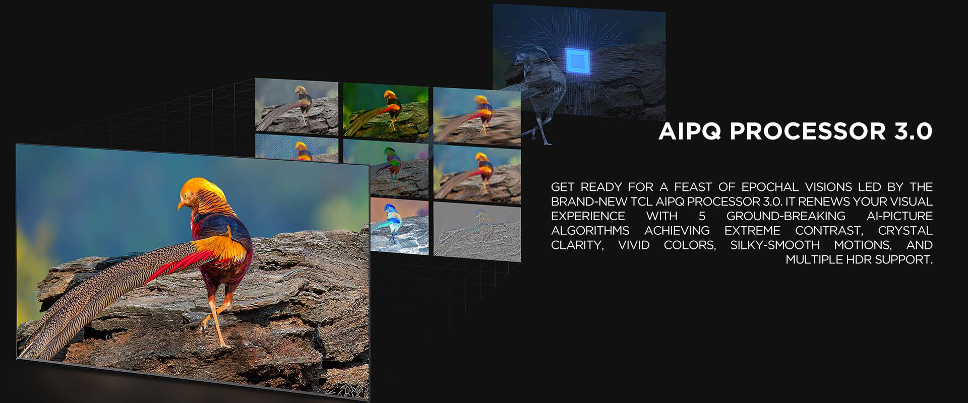 AiPQ PROCESSOR 3.0 - Get ready for a feast of epochal visions led by the brand-new TCL AiPQ Processor 3.0. It renews your visual experience with 5 ground-breaking Ai-Picture algorithms achieving extreme contrast, crystal clarity, vivid colors, silky-smooth motions, and multiple HDR support.